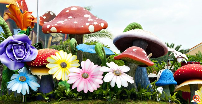 Πόσο επικίνδυνα ή ακίνδυνα είναι τα "μαγικά μανιτάρια";